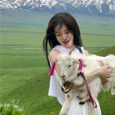孩子与狗